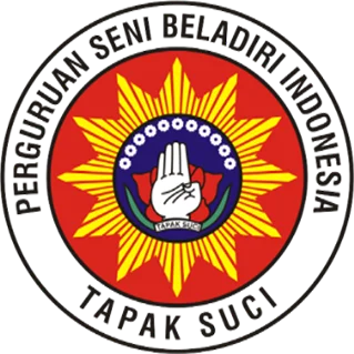 Tapak Suci Putera Muhammadiyah